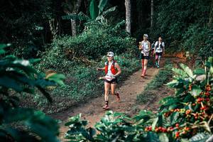 BIB: 
                            <button type="button" onclick="openModal(25814796)" class="btn btn-primary btn-sm float-right btn-popup" data-toggle="modal" data-target=".modal-high-quality">
                        <i class="fas fa-shopping-cart"></i> Add to Cart
                    </button>
                                            <button type="button" onclick="isThisMe(25814796, true)" class="btn btn-success btn-sm float-right btn-popup btn-isme hidden" data-toggle="tooltip" data-placement="bottom" title="นี่คือรูปของคุณใช่ไหม คลิกที่นี่เพื่อเอาเข้าอัลบั้ม">
                        <i class="fas fa-plus"></i> Add to album
                    </button>
                    <button type="button" onclick="isThisMe(25814796, false)" class="btn btn-warning btn-sm float-right btn-popup btn-isnotme hidden">
                        <i class="fas fa-ban"></i> Remove from album
                    </button>